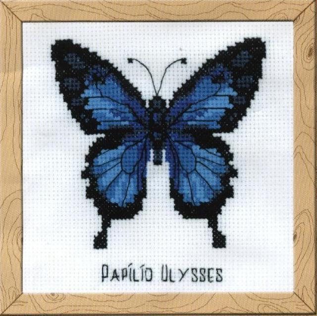 Схема вышивания крестом - Бабочка "Парусник Улисс"