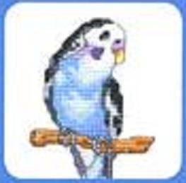 Схема вышивания крестом - Голубой попугай