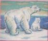 Схема вышивания бисером - Белые медведи